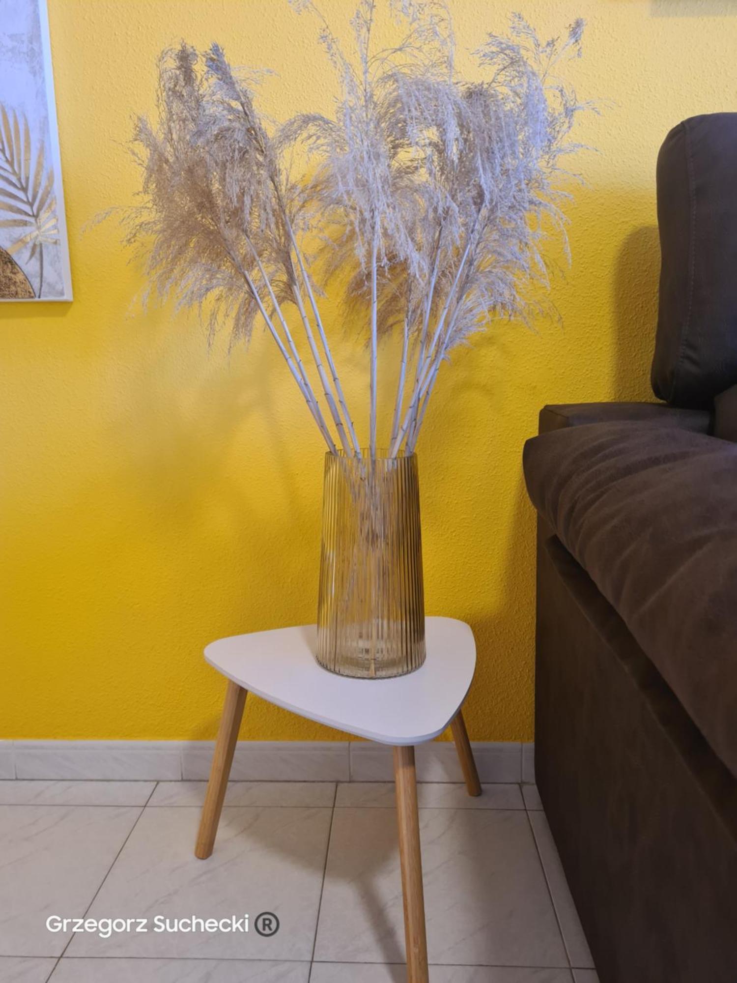 Appartement Apartamento Parquemar à La Mata  Extérieur photo
